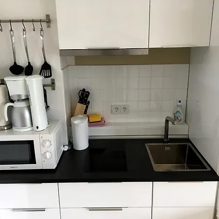 Downtown Apartament Ratyzbona
